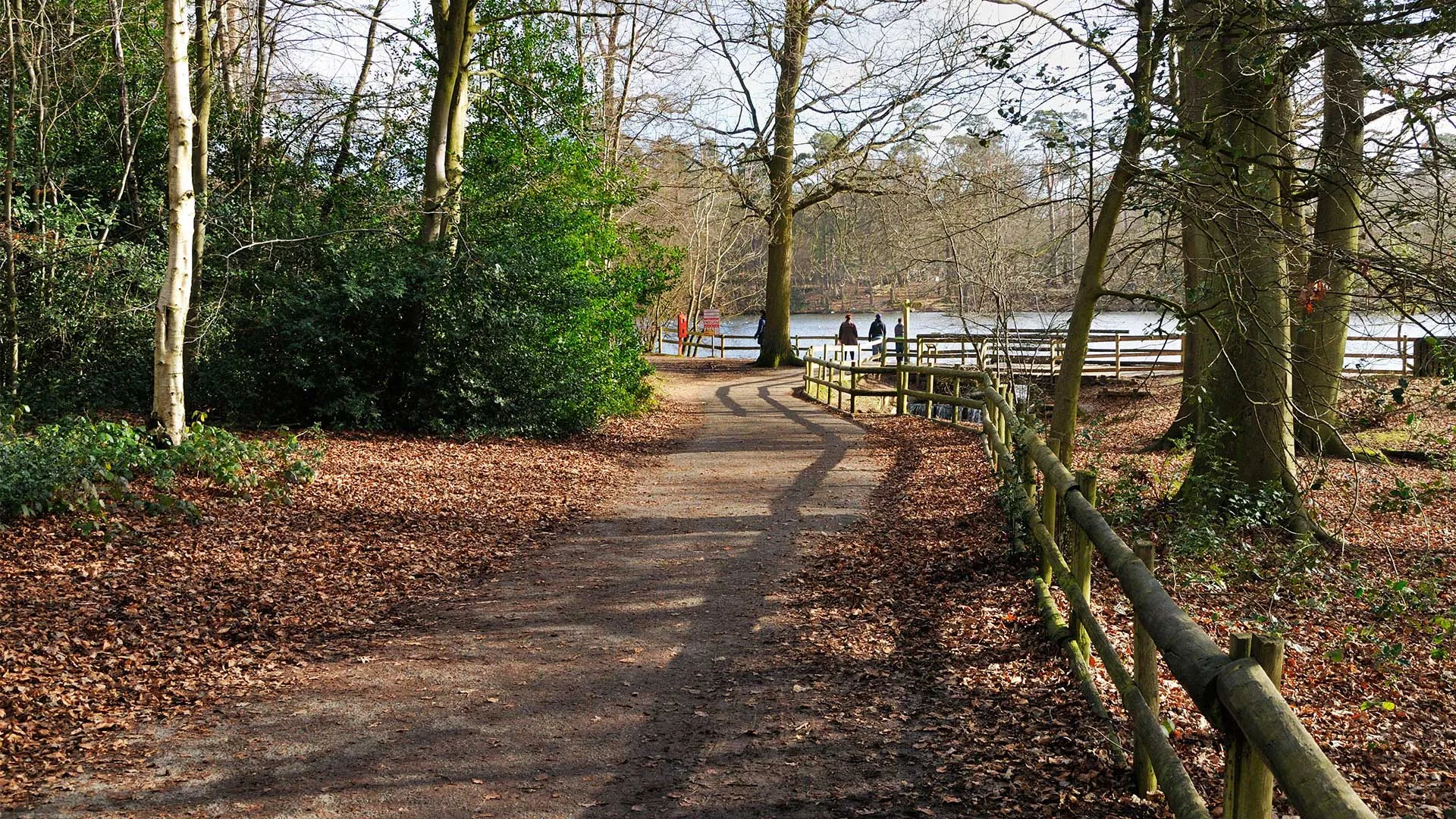 Scholars Walk - lead image